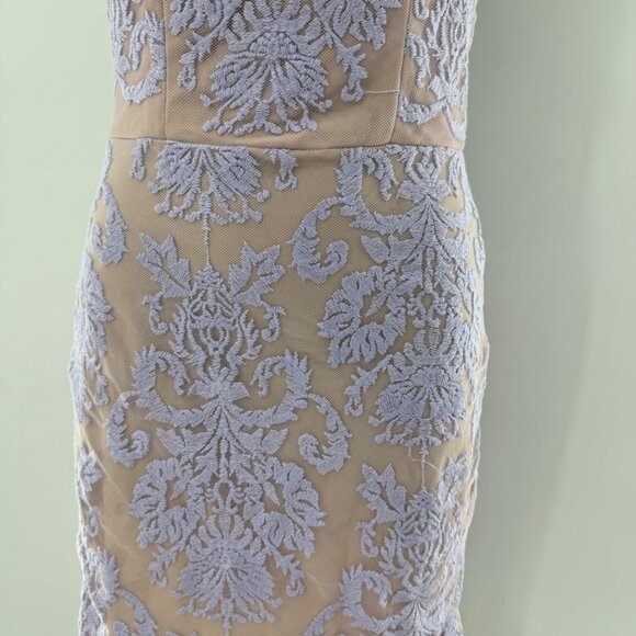 NWT - Hello Molly Bedroom Whispers Lace Mini Dress Size 8 Nude & Lavender - Picture 3 of 16